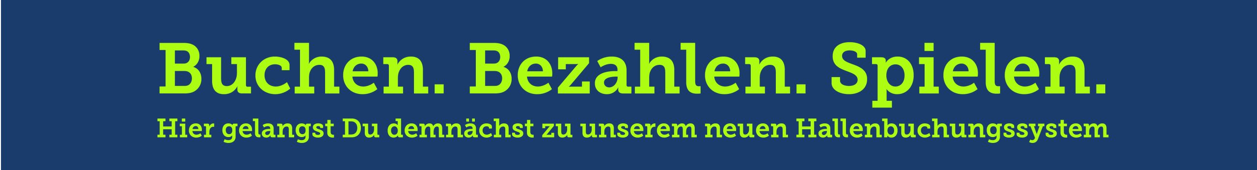 Banner Zahlungssystem@300x-100